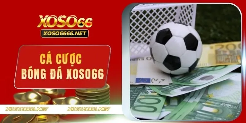 Cá Cược Bóng Đá XOSO66